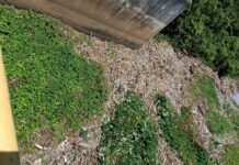 El ingeniero Fellito Subervi, director de la CAASD, informa que ya se ha logrado quitar la obstrucción que mantenía el Acueducto Barrera de Salinidad fuera de servicio.