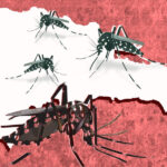 dengue-2